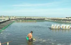 Khánh Hòa tập trung bàn giao mặt bằng dự án điện hạt nhân trước ngày 30/6