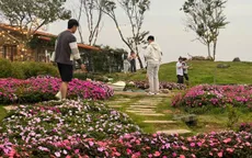 Gần 12 triệu lượt khách đến Lâm Đồng, tạo đà hoàn thành mục tiêu tăng trưởng hai con số