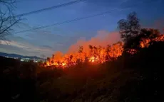 Bí thư Tỉnh ủy Nghệ An yêu cầu tập trung tối đa lực lượng dập tắt cháy rừng, không để cháy lan rộng