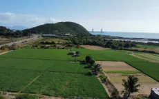 Bình dị Ninh Vân