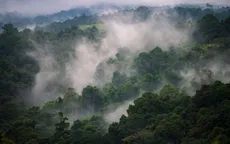 Papua New Guinea đứng trước nguy cơ thiếu lương thực do El Nino