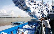 Xuất khẩu gạo thu về 2,36 tỷ USD sau 6 tháng