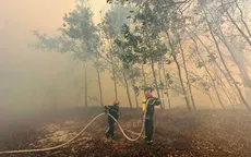 Quyết liệt triển khai các biện pháp cấp bách phòng cháy, chữa cháy rừng