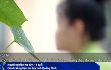 Sau tiệc sinh nhật, nữ sinh 16 tuổi bị cuốn vào vòng xoáy của ma túy