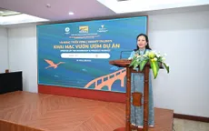 Khai mạc Vườn ươm dự án DANAFF Talents 2026: Kết nối tài năng điện ảnh Việt Nam và châu Á