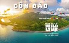 TRỰC TIẾP: Checkin nhiều điểm 'hot' của Côn Đảo với Vietnam Wild Live