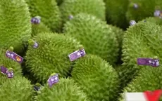 Nông sản có "hộ chiếu số" từ ngày 1/7