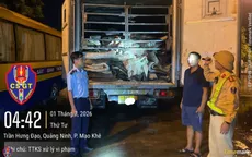 Phát hiện xe tải đông lạnh chở gần 9 tấn da trâu muối không rõ nguồn gốc