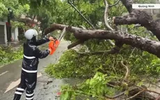 Quảng Ninh: Khoảng 1.000 cây xanh gãy đổ, 600ha nuôi trồng thủy sản bị thiệt hại sau bão số 1