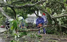 Quảng Ninh thiệt hại khoảng 20 tỷ đồng do bão số 1