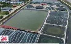 Công nghệ thay đổi nghề nuôi tôm