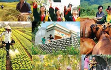Giao bổ sung dự toán chi ngân sách trung ương, kế hoạch đầu tư công vốn ngân sách trung ương cho 27 địa phương