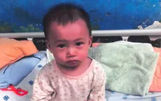 Gia đình làm nông chật vật tìm cơ hội sống cho con gái mắc tim bẩm sinh
