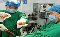 Cứu nam thanh niên bị cây đổ trúng đầu