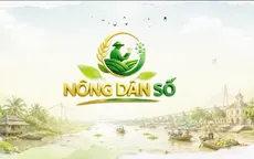 Nông dân số (VTV10): Lan tỏa giá trị bền vững cho nông nghiệp hiện đại