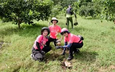 Thêm 1.000 trồng mới tại Khu bảo tồn thiên nhiên Núi Ông