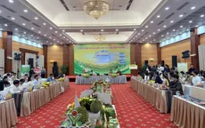 Lễ hội Sầu riêng Đắk Lắk 2026: Hướng tới kỷ lục thế giới với màn diễu hành 500 xe bán tải