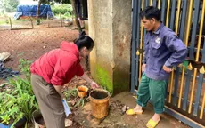 Tăng cường giám sát dịch bệnh trong mùa mưa