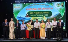 Lần đầu đấu giá sầu riêng tại vườn ở Krông Pắc, mở thêm hướng tiêu thụ cho nhà vườn