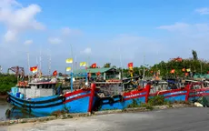 Ninh Bình tăng tốc hành trình gỡ "thẻ vàng" IUU
