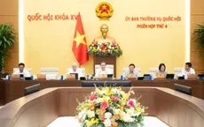 Không làm ảnh hưởng đến môi trường khi thực hiện dự án đô thị lấn biển