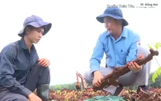 Đồng Nai phát hiện 21 bộ hài cốt liệt sĩ cùng nhiều di vật tại xã Minh Đức