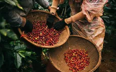Thích ứng quy định nhập khẩu mới từ châu Âu
