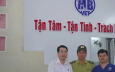 Huế: Hai cá thể rùa quý hiếm được cứu chữa, trở về tự nhiên
