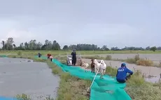 Mùa lũ tại Đồng bằng sông Cửu Long đến muộn