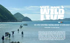 Vietnam Wild Live và câu chuyện "hứng sóng" ở Côn Đảo
