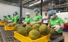Xuất khẩu nông, lâm, thủy sản 7 tháng đạt gần 42,8 tỷ USD