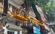 Cắt tỉa cây giải cứu cụ bà bị mắc kẹt ngoài ban công