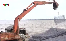 Cần Thơ chạy đua gia cố, bảo vệ đê phòng hộ ven sông Hậu