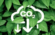 Sàn giao dịch carbon vẫn thiếu nguồn cung