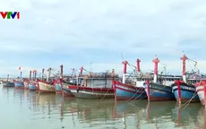 Hàng loạt tàu cá ở TP Huế nằm bờ do không đủ điều kiện đăng kiểm