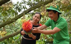 Đến Đắk Lắk mùa sầu riêng - Một lễ hội, nhiều trải nghiệm