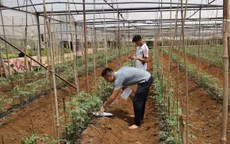 Cảm biến thông minh theo dõi độ ẩm, NPK cho vùng rau an toàn tại Sơn La