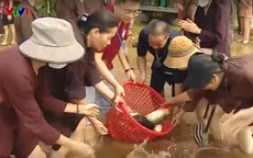 Phóng sinh đúng cách, bảo vệ đa dạng sinh học
