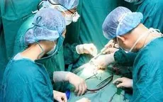 Trái tim nhỏ bé và hành trình vượt 250 km giành lại sự sống