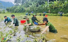 Gần dân để giữ bình yên từ cơ sở