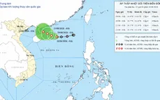 Áp thấp nhiệt đới gây gió mạnh trên biển, sóng cao đến 3,5m 