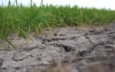 Nguy cơ El Nino rất mạnh và cú sốc lương thực ở Đông Nam Á