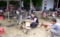 Đặc xá - Chính sách nhân văn, mở lối hoàn lương