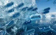 Phát hiện cơ chế "chia sẻ" gene sinh tồn của vi khuẩn ở Nam Cực