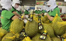 Sầu riêng có thể mang về 4 tỷ USD xuất khẩu năm 2026