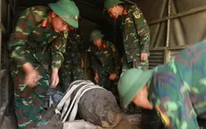 Khai quật, thu hồi quả bom nặng 300kg tại Hải Phòng