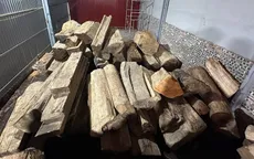 Hai đối tượng đầu thú sau khi mua bán hơn 18 tấn gỗ sa mu dầu thuộc nhóm IA