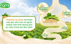Khám phá giá trị của prebiotic tự nhiên bên trong đậu nành