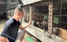 Người nông dân thu tiền tỷ mỗi năm từ mô hình nuôi chồn hương