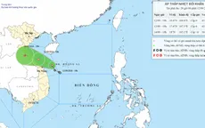 Áp thấp nhiệt đới trên vùng biển Quảng Trị - TP Đà Nẵng, miền Trung có nơi mưa to trên 350 mm